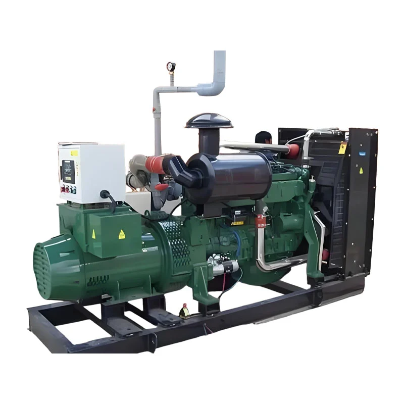 Mababang Gastos na 100kw Biogas Generator Mababang Gastos na 100kw Biogas Generator