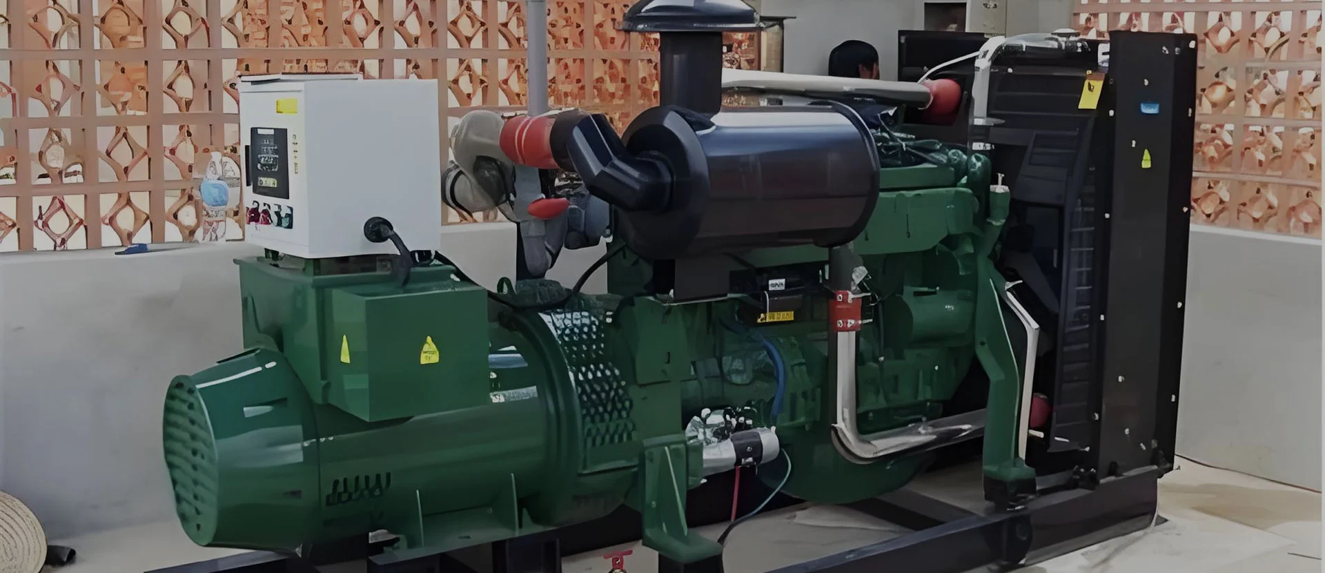 Tagagawa ng Biogas Generator